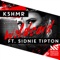 Wildcard (feat. Sidnie Tipton) - KSHMR lyrics