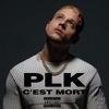 C'est mort by PLK iTunes Track 2