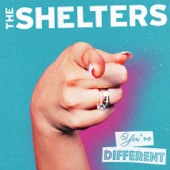 The Shelters - You're Different