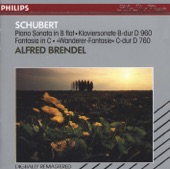 Schubert: Piano Sonata in B-Flat & Fantasy in C artwork