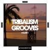 Tribalism Grooves, Vol. 1