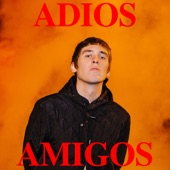 Adiós Amigos artwork