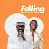 Falling (feat. Mr. 2Kay) - Single album lyrics, reviews, download