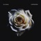 Carpediem - DJ Kunal lyrics