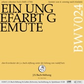 Ein ungefärbt Gemüte, BWV 24: III. Chor - Alles nun, das ihr wollet (Live) artwork