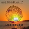 Lucid Sounds, Vol. 17 - A Fine and Deep Sonic Flow of Club House, Electro, Minimal and Techno