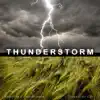 Sounds of a Thunderstorm album lyrics, reviews, download