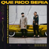 Qué Rico Sería artwork