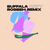 Katy (Rosbeh Remix) artwork