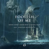 Foolish of Me (feat. Jonathan Mendelsohn) artwork