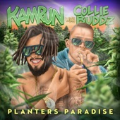 Planters Paradise (feat. Collie Buddz) artwork