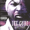 Ice Cube - Gotta Be  Insanity