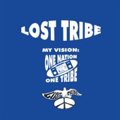 My Vision: One Nation, One Tribe (Sample City Mix) artwork