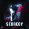 Heretics - Secrecy, Crystalix & Terkoiz lyrics