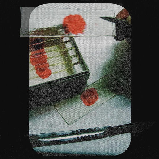 Cover artwork for KILL 2