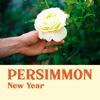 New Year - Single