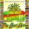 Amor - Grupo Pesadilla lyrics