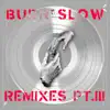 BURN SLOW REMIXES, PT. III (feat. Miles Cooper Seaton) album lyrics, reviews, download