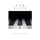 Für Elise (Orchestral Version) artwork