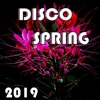 Disco Spring 2019