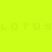 LOTUS artwork