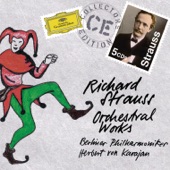 Strauss: Orchestral Works artwork