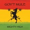 Unthrow the Spear (feat. Michael Franti) - Gov't Mule lyrics
