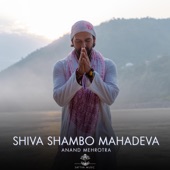 Shiva Shambo Mahadeva artwork