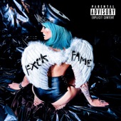 fuck fame artwork