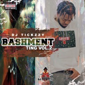 Bashment Ting, Vol. 2 artwork