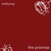 Nutty Nys - The Promise