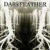 Dark Feather (feat. Jonathan Russell, Stacc Styles & Matt Mortimer) - Single album lyrics, reviews, download