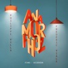 Frederic Viale - Anamorphoz