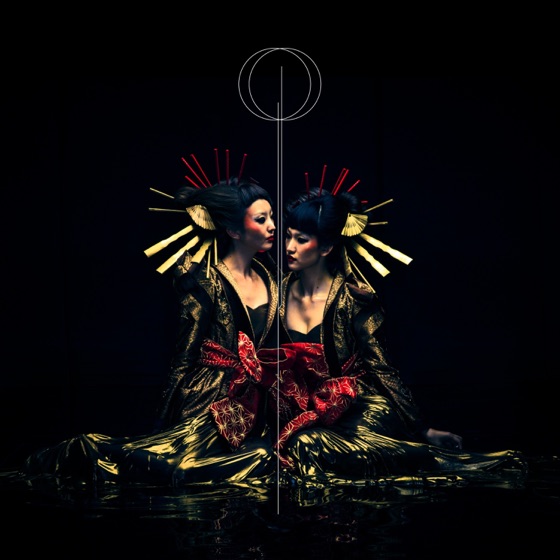 Cover artwork for Dripping Insanity