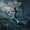 Black Rose Maze