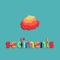 Sediments - Christine Sako lyrics