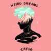 Weird Dreams - Single album lyrics, reviews, download