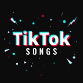 TikTok Songs artwork