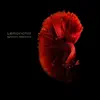 Symphonic Adaptations album lyrics, reviews, download