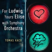 For Ludwig, Yours Elise (With Symphony Orchestra) artwork