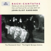 Bach: Cantatas artwork