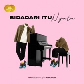 Bidadari Itu Nyata artwork