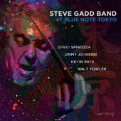 Steve Gadd Band - Various