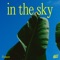 In the Sky (Original) artwork