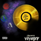 Voyager: The Sounds of Earth artwork