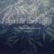 Flight After Flight (feat. Big Profit) - Phaze lyrics