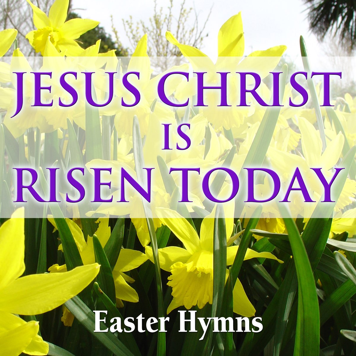 ‎Jesus Christ Is Risen Today - Easter Hymns by The London Fox Choir ...