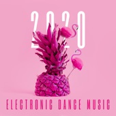 2020 Electronic Dance Music - Clean Tropical Summer Vibe Playlist artwork