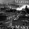 2 Many - Marvin Gray lyrics