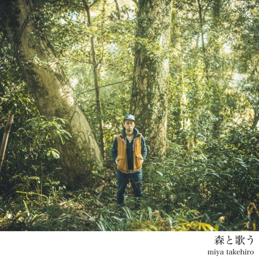 Album artwork